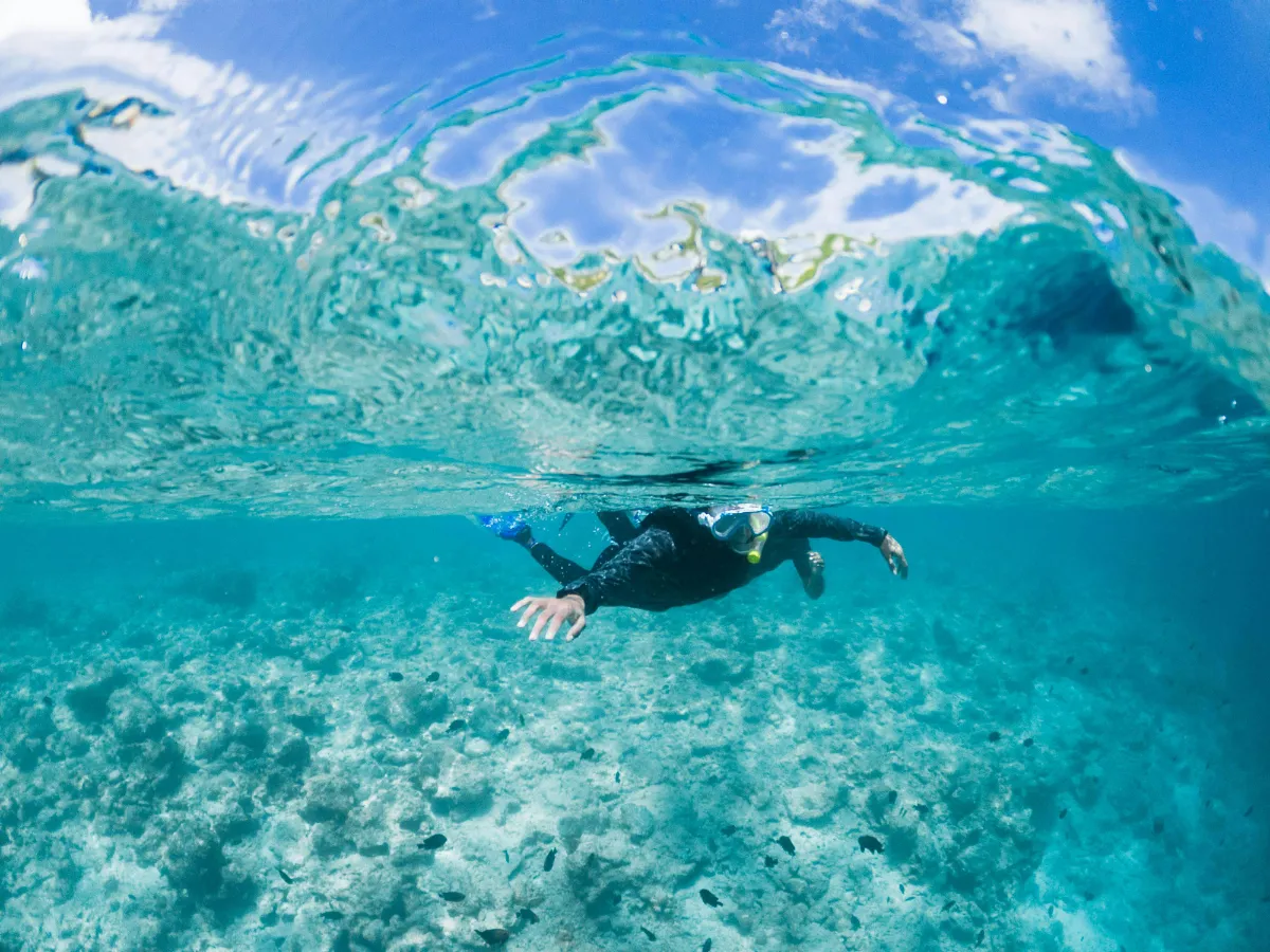 Weltklasse Shore Diving