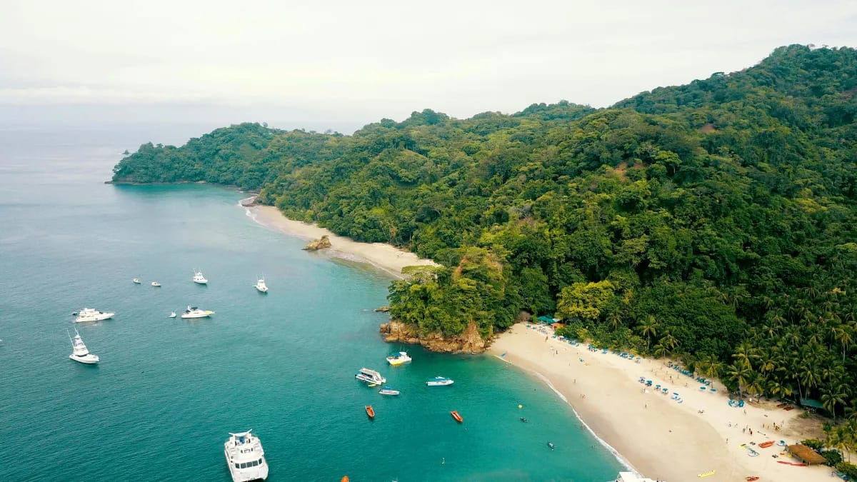 Beste Reisezeit Costa Rica - Klimadiagramm und Wetterdaten