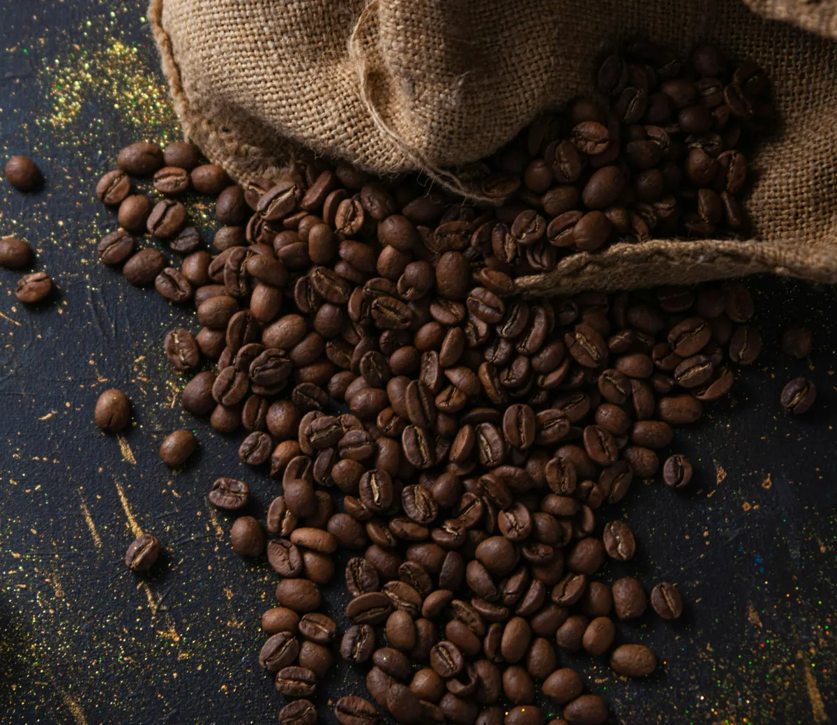Kaffee-Plantagen-Tour in der Zentralen Cordillera