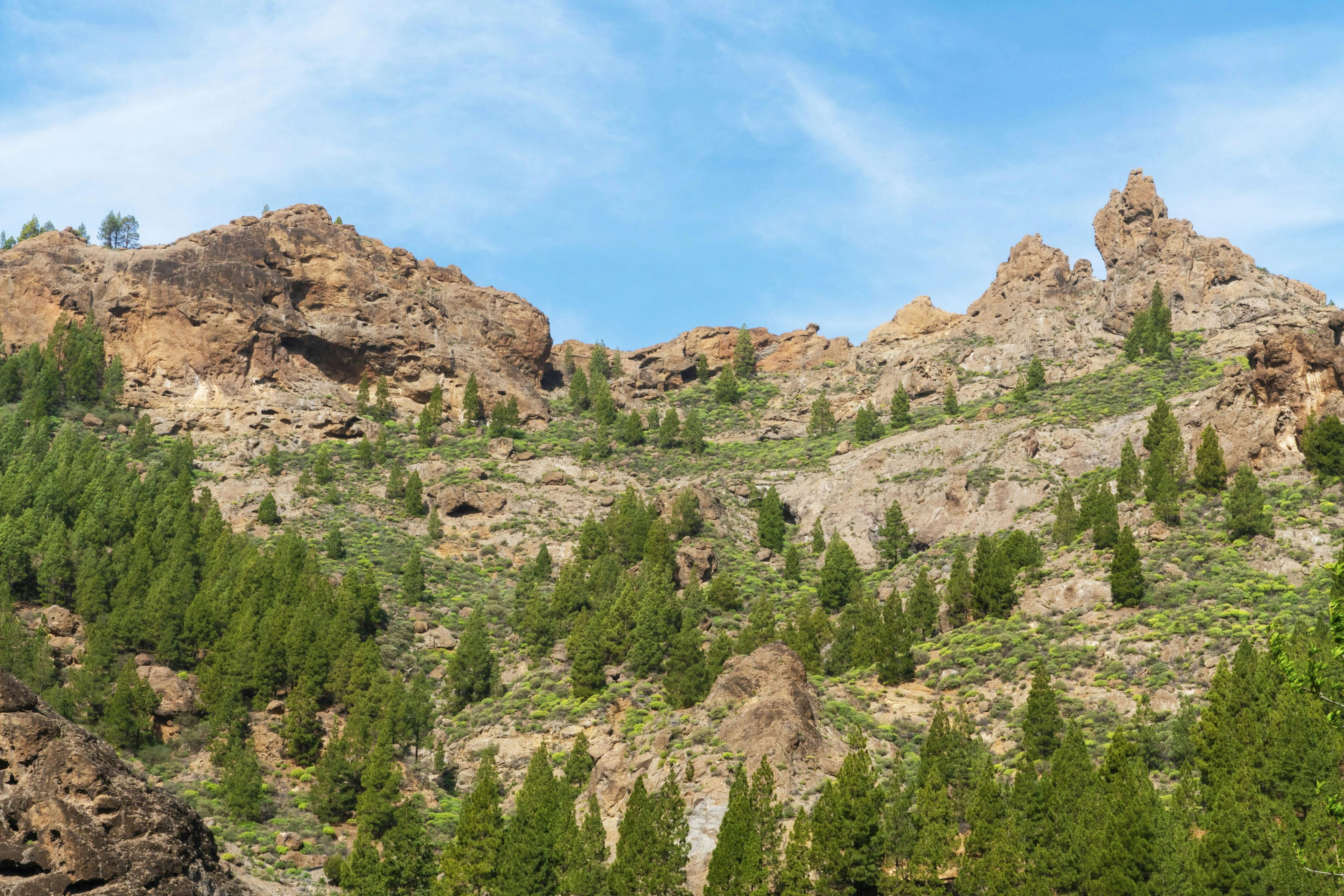 Wandern und Bergtrekking