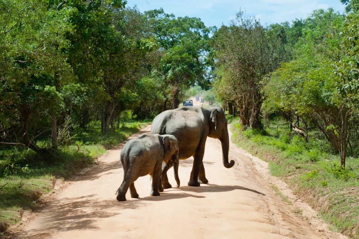Natur und Wildlife