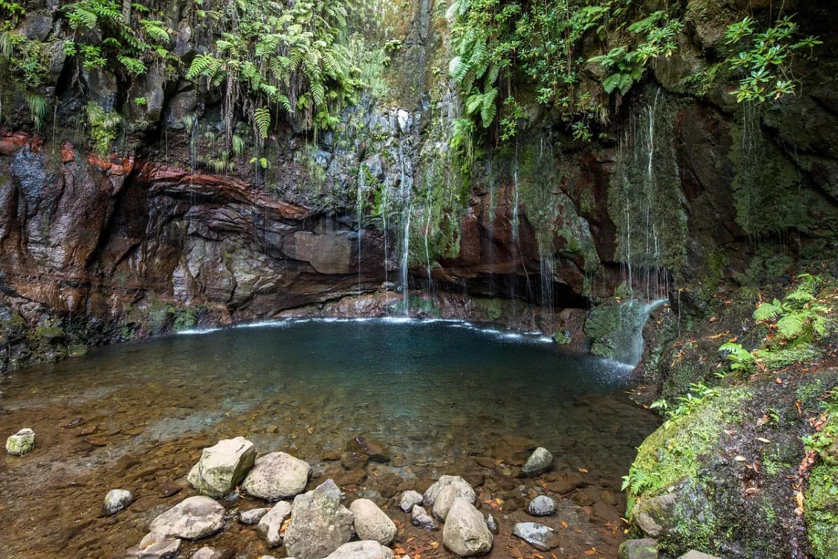 Beste Reisezeit Madeira - Klimadiagramm und Wetterdaten