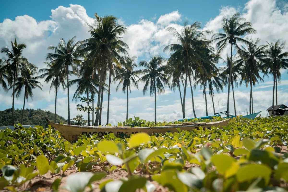 Beste Reisezeit Philippinen - Klimadiagramm und Wetterdaten