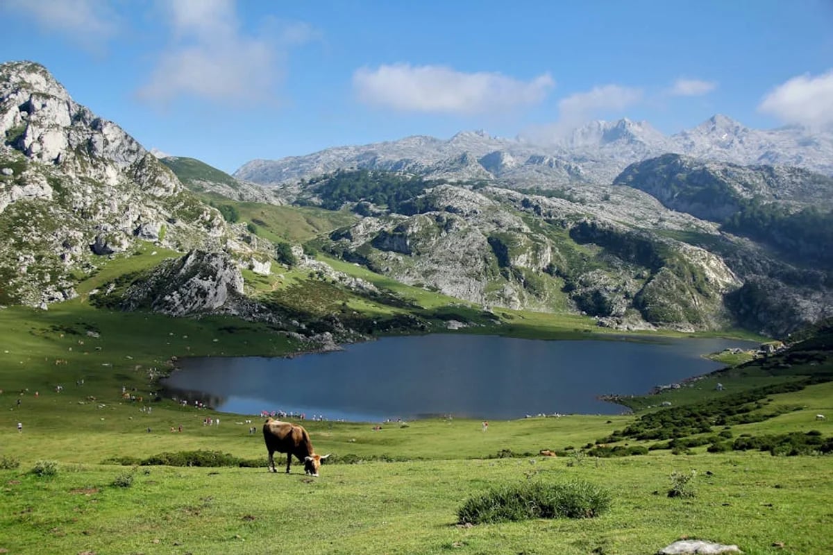 Optimale Reisezeit für Asturien