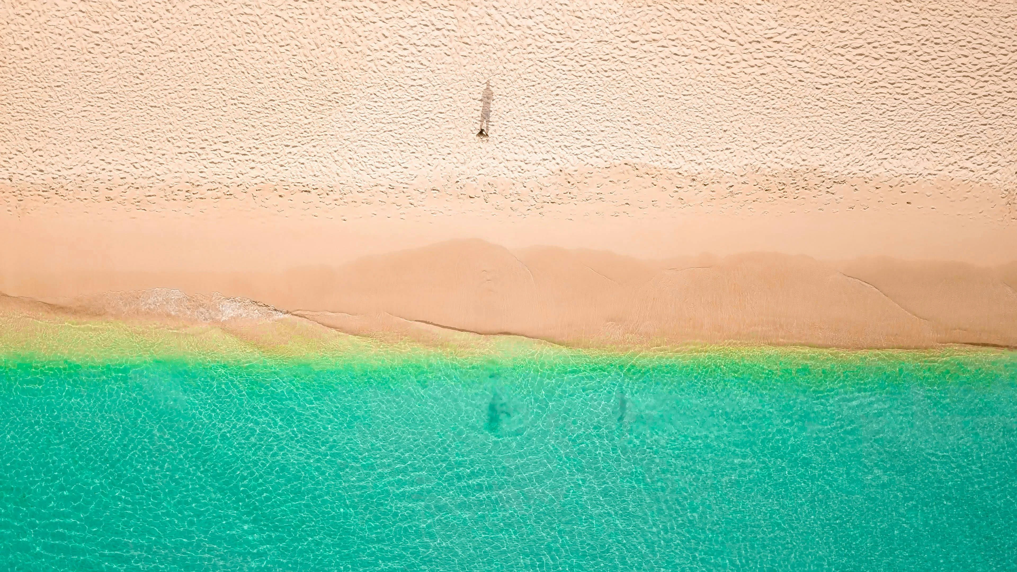 Optimale Reisezeit für Barbados