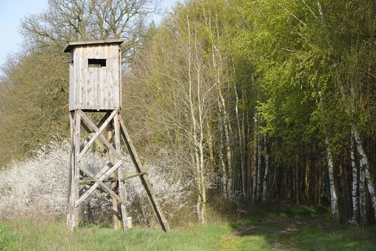 Landschaft von Schweden während der optimalen Reisezeit