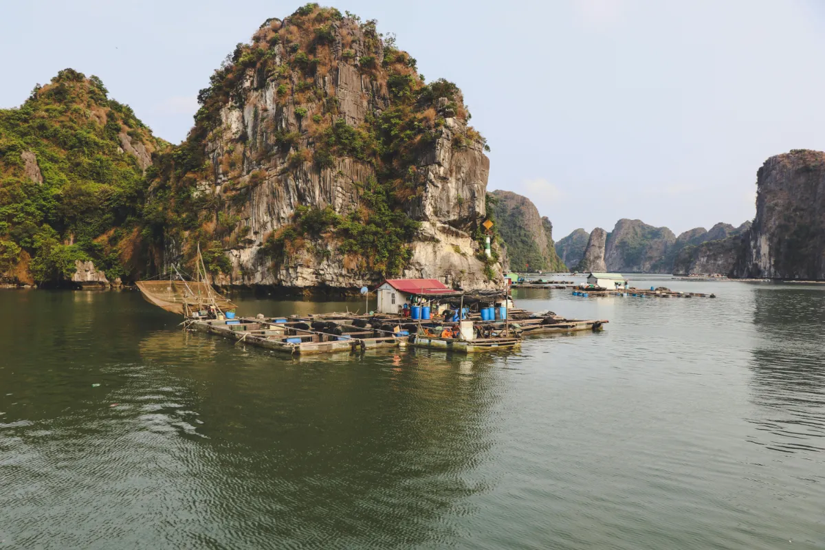 Landschaft von Vietnam während der optimalen Reisezeit