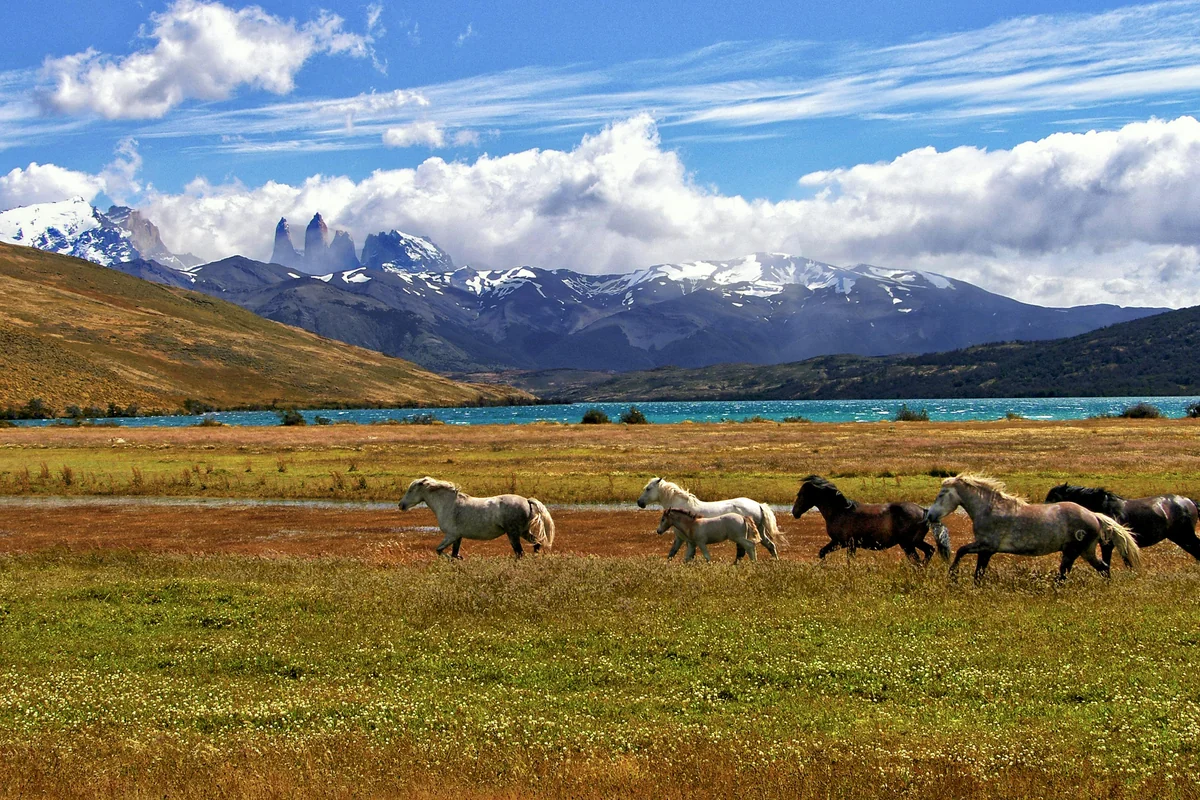 Beste Reisezeit Chile - Klimadiagramm und Wetterdaten