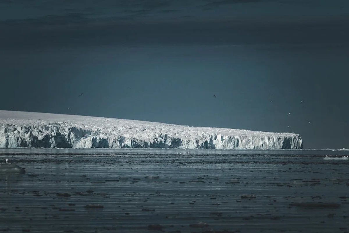 Optimale Reisezeit für Antarktis