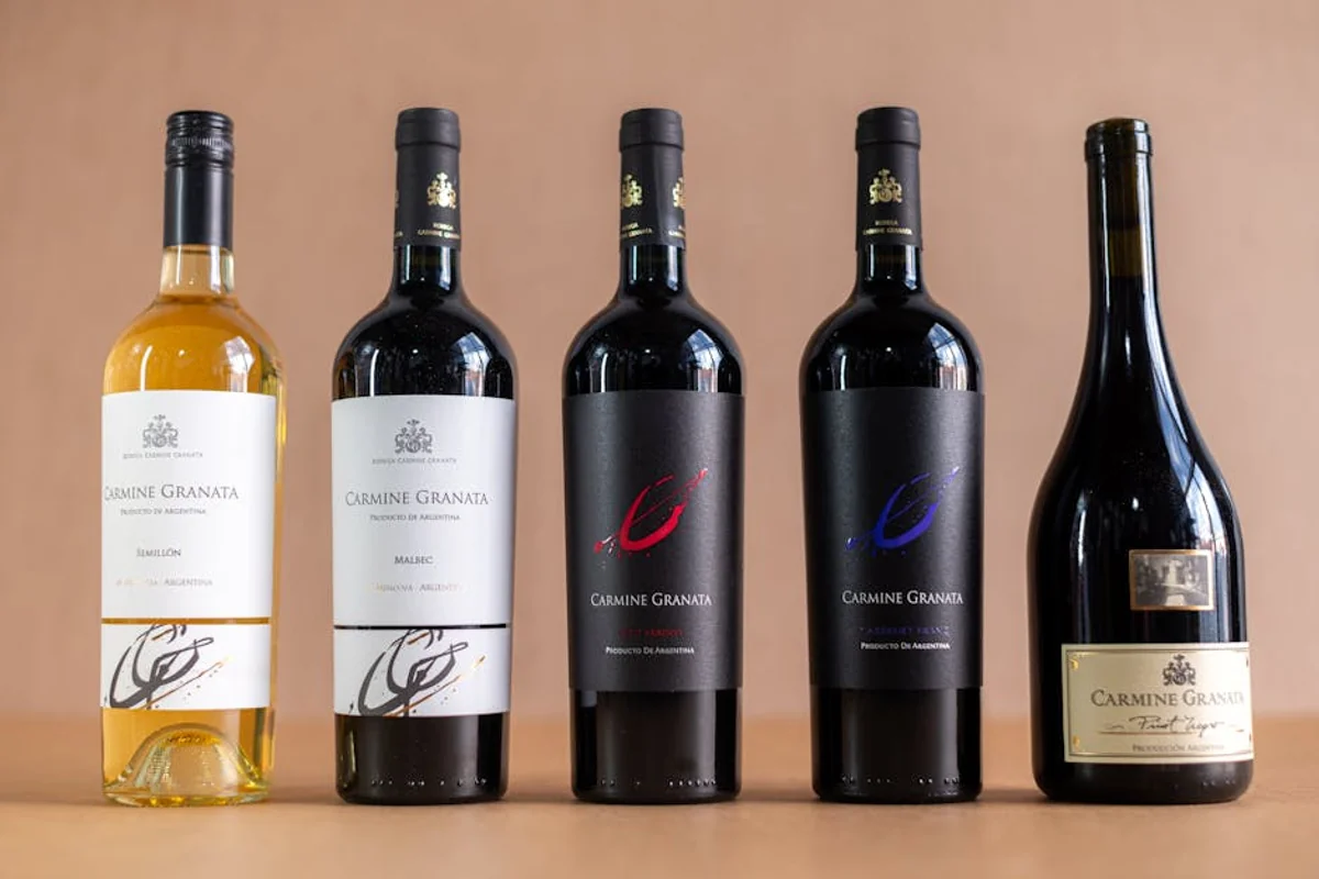 Weinverkostung in Mendoza