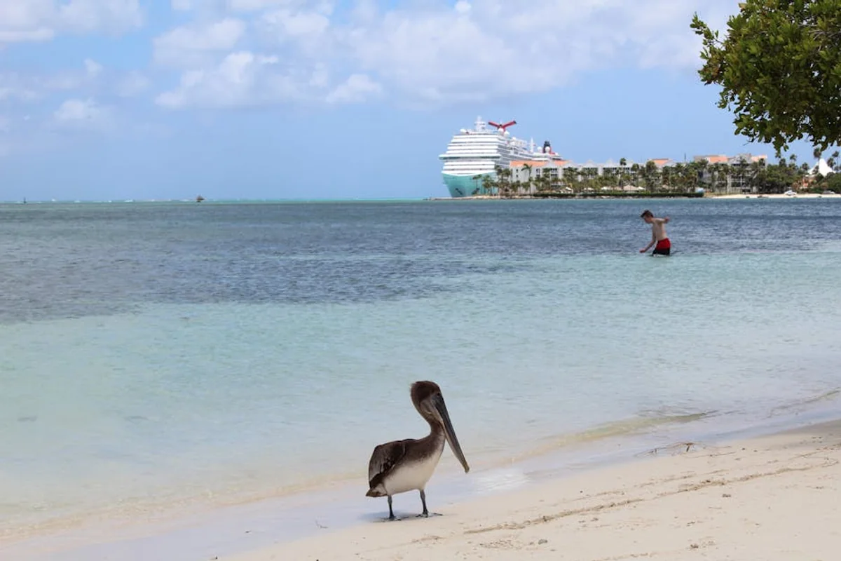Landschaft von Aruba während der optimalen Reisezeit