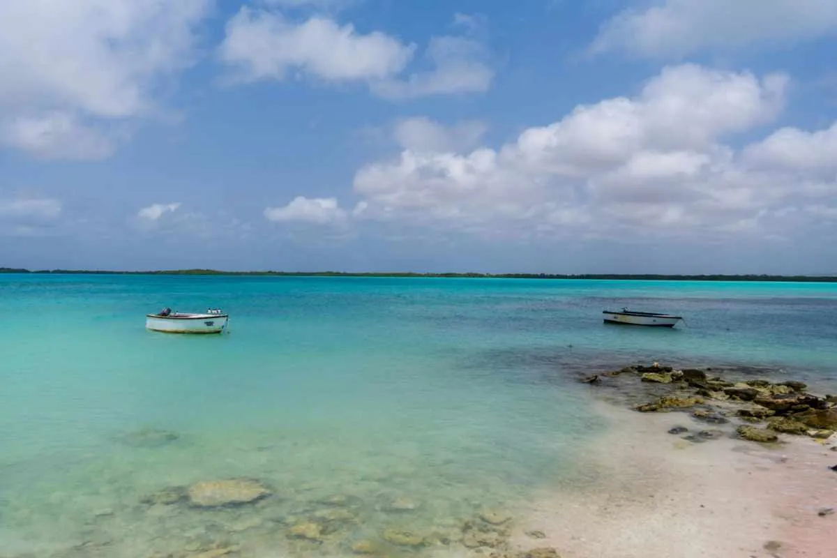 Beste Reisezeit Bonaire - Klimadiagramm und Wetterdaten