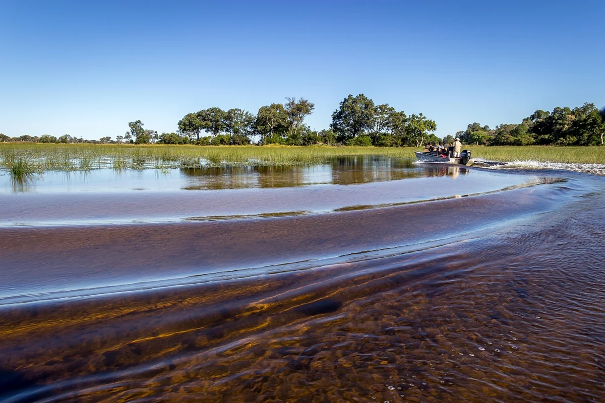 Mokoro-Fahrten im Okavango-Delta
