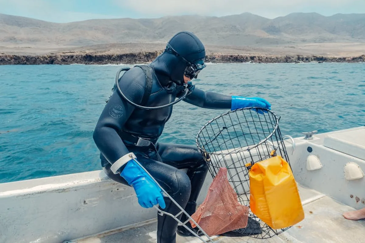 Tauchen und Schnorcheln