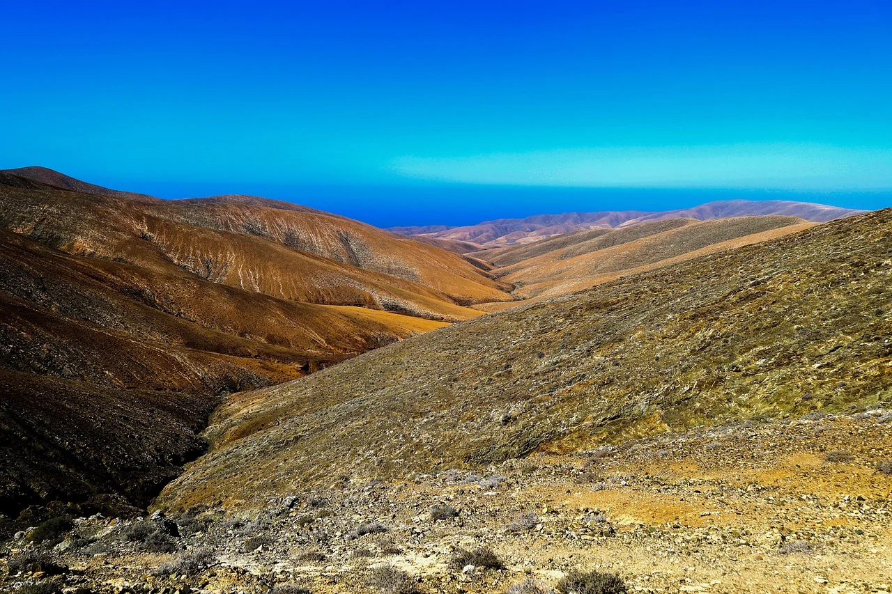 Wandern und Naturerkundung