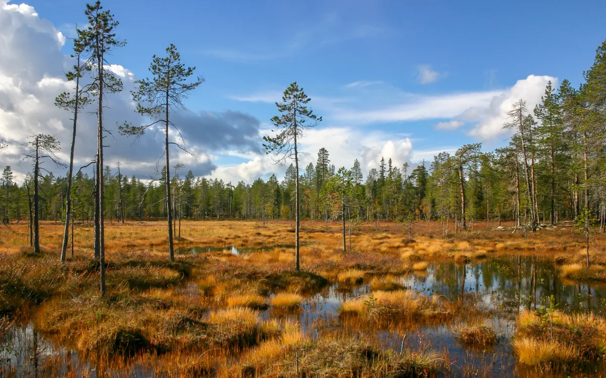 Wandern in der arktischen Wildnis