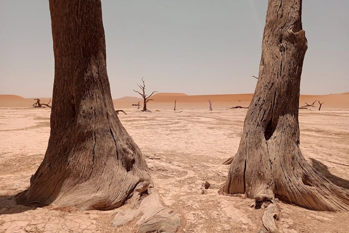 Wüsten-Abenteuer in Sossusvlei