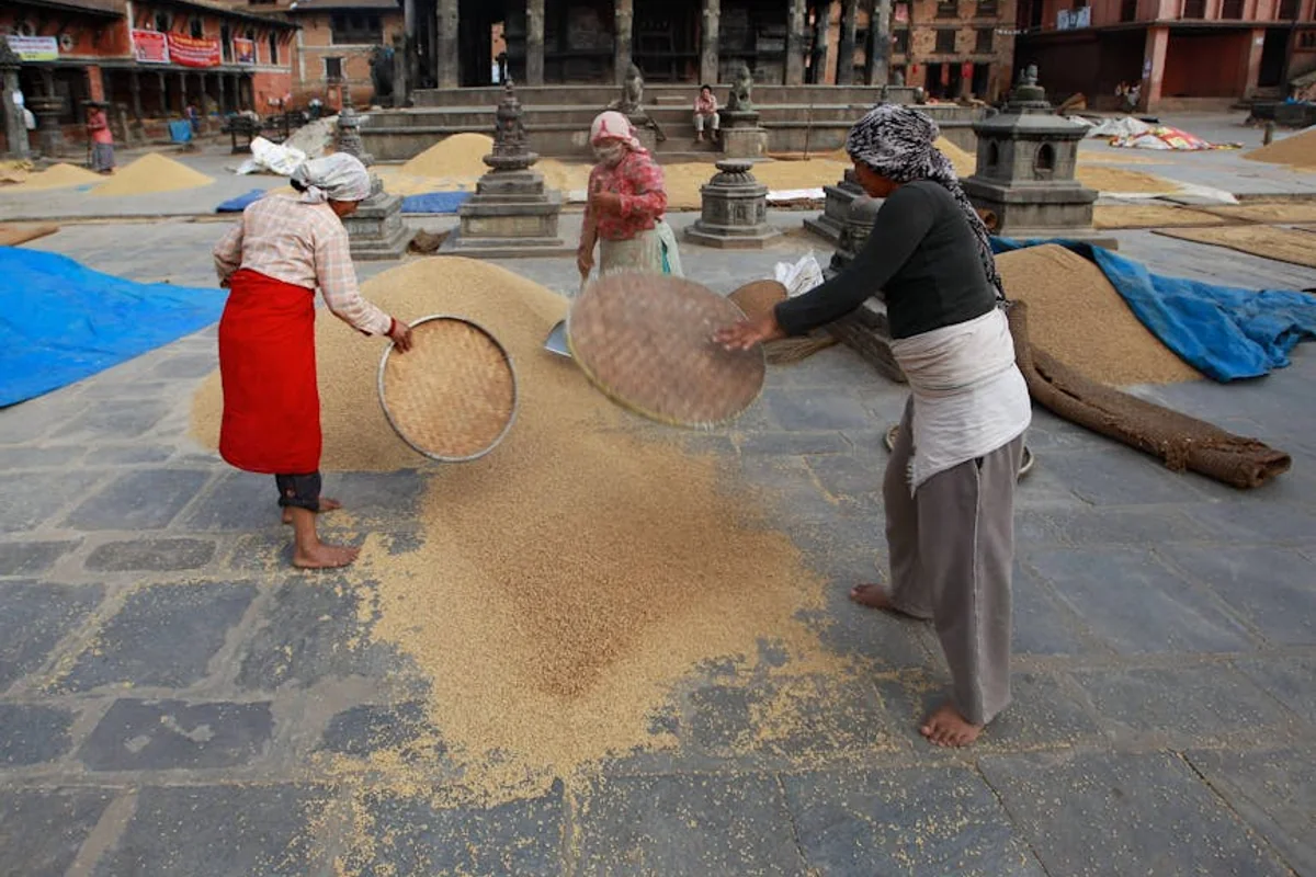 Kulturelle Erkundungen