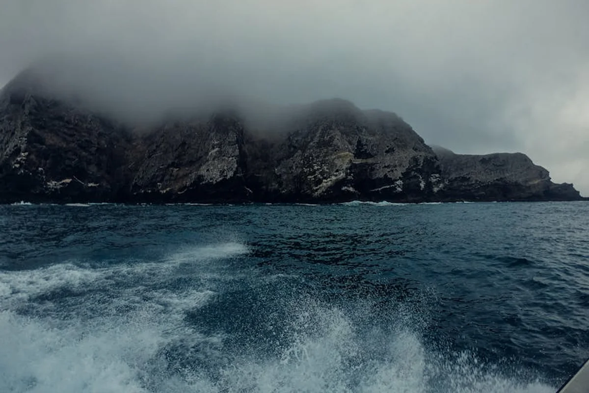 Königskrabben-Safari