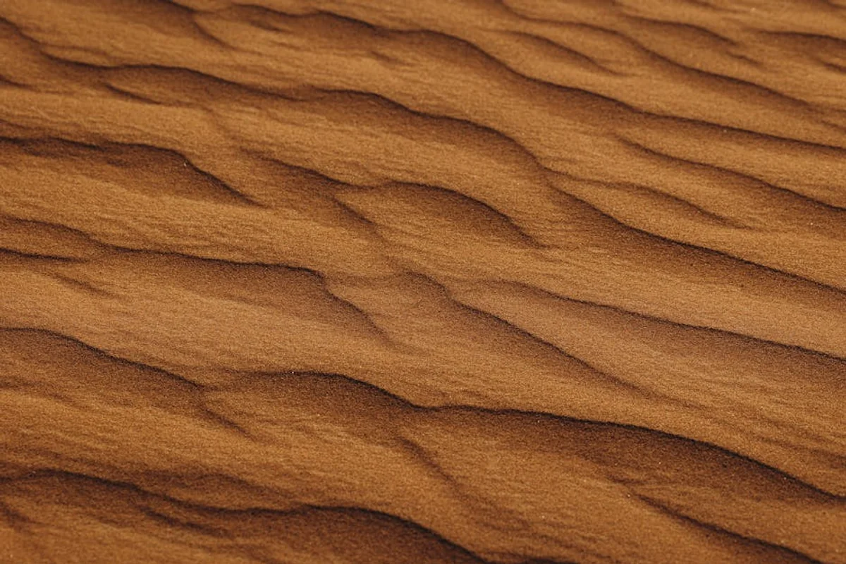 Wüstenexkursionen in der Wahiba-Wüste