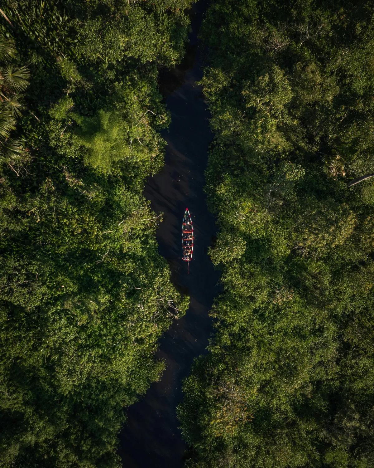 Amazonas-Abenteuer