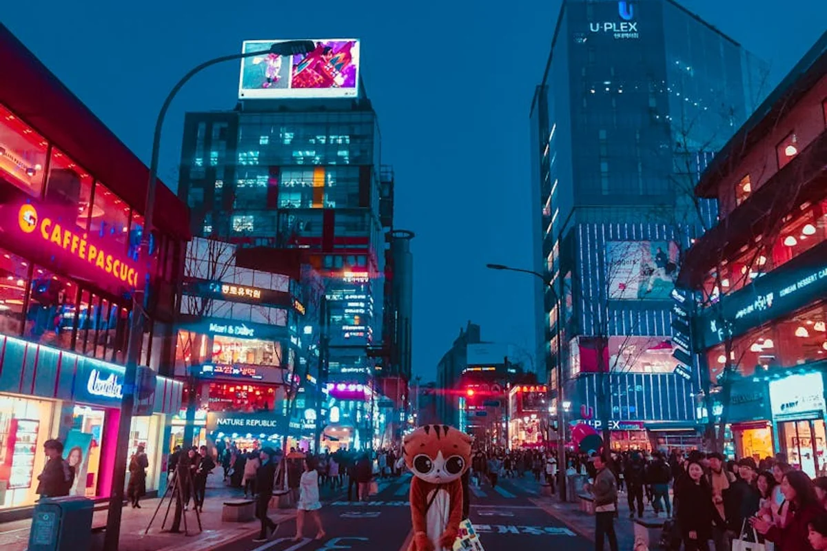 Seoul Metropolenerlebnis