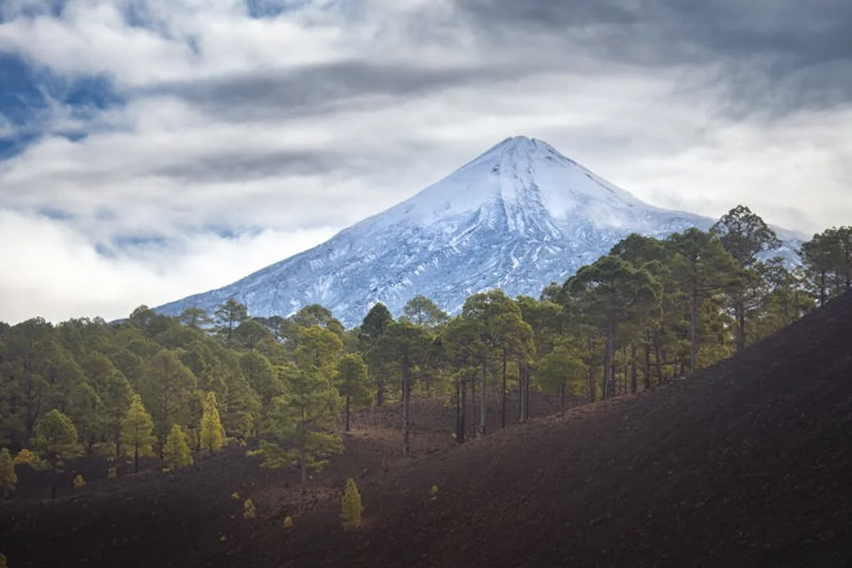 Beste Reisezeit Teneriffa - Klimadiagramm und Wetterdaten